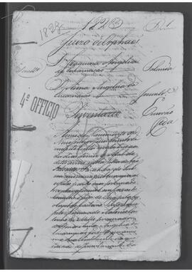 Casa da Suplicação do Brasil (1808-1833). Juízo de Órfãos da Villa de São Salvador Parahiba do Sul. Processo s/n° de Inventário.